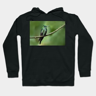 Green-Crowned Brilliant Hummingbird - Costa Rica Hoodie